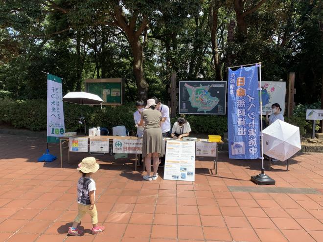 日傘利用の促進