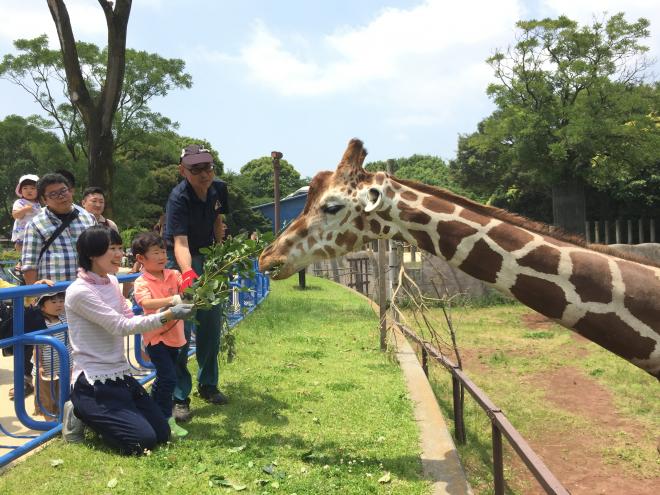 ちばZOOフェスタ