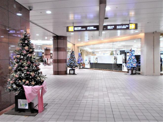 センシティクリスマスツリー