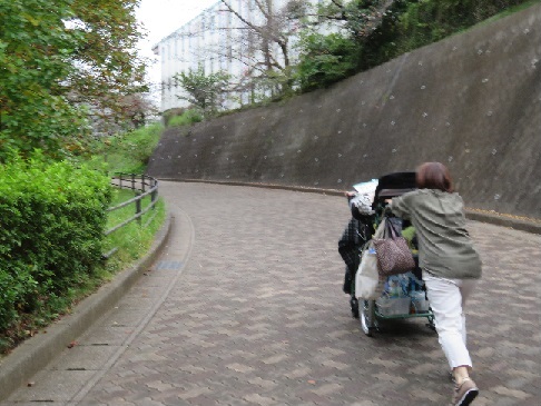 saka