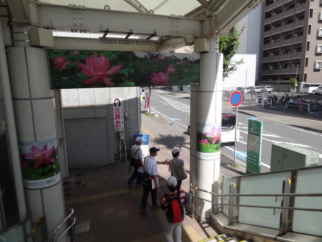 machiarukitour20