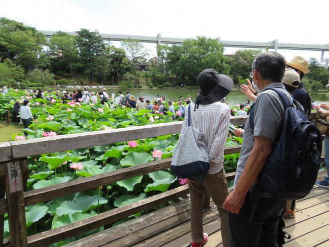 machiarukitour14