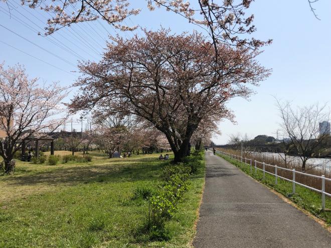 サイクリングロード