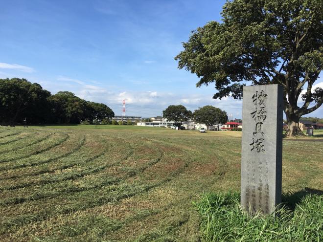 R01-2walking