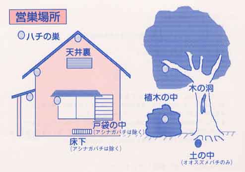ハチが巣を作りやすい場所