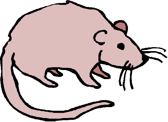 ネズミ