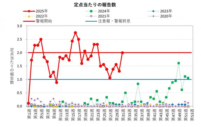伝染性紅斑