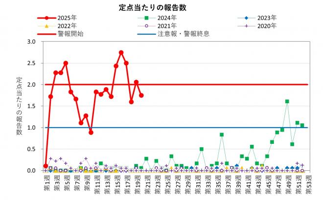 伝染性紅斑2