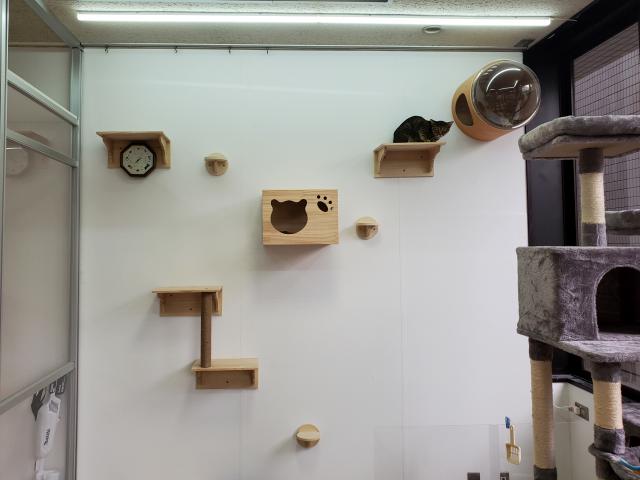 猫の足場