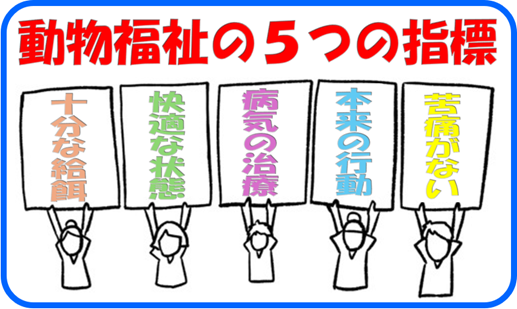 動物福祉の5つの指標