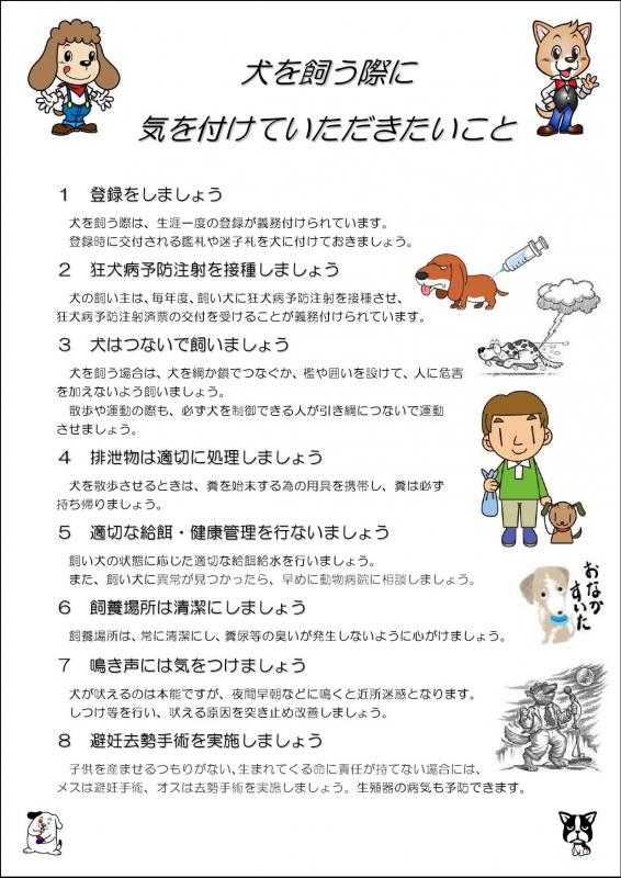 犬を飼う際に気を付けていただきたいこと