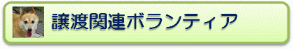 譲渡関連ボランティア