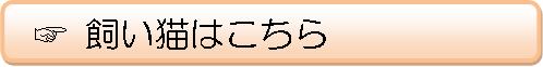 飼い猫の問題解決ページです