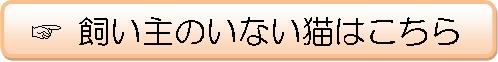 飼主のいない猫の問題解決ページへのリンクです