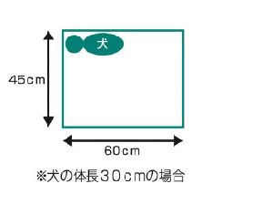ke-jiimage