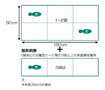 kijun2