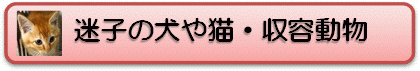 迷子の犬や猫・収容動物