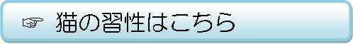 猫の習性についてご紹介します