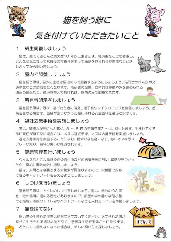 猫を飼う際に気を付けていただきたいこと