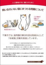 straycatdispute