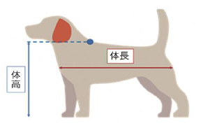 taikou