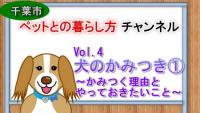 vol4