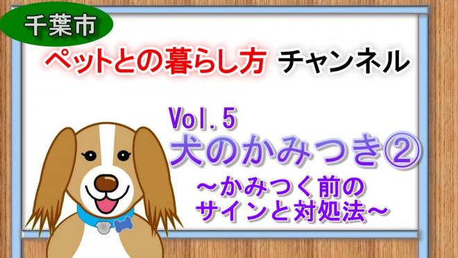 vol5