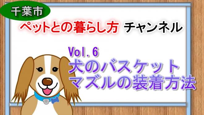  vol6