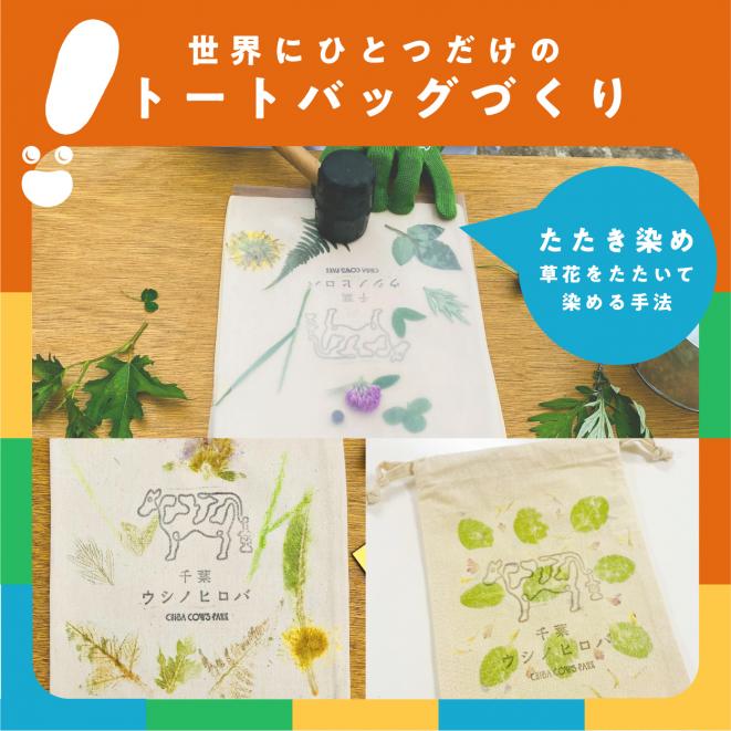 ウシノヒロバ