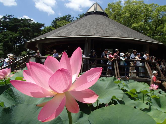 千葉公園