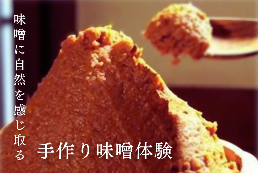 37_miso