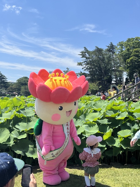 chihanachan
