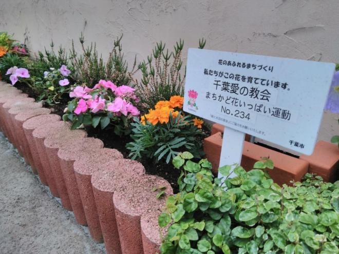 31hanasyashin5/24no.5
