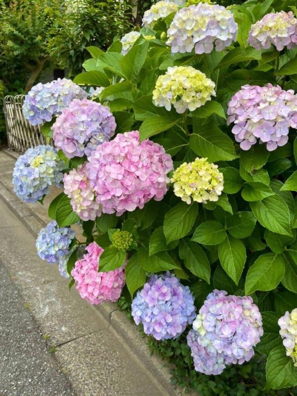 2あなたの色はどれですか？