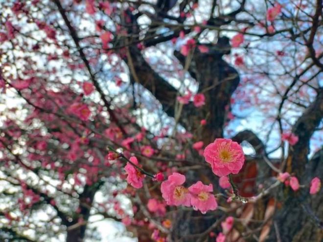 春を待つ２月に