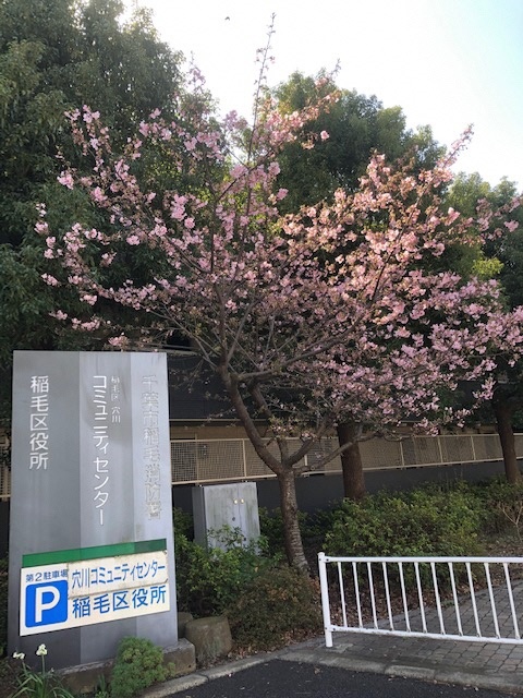 河津1