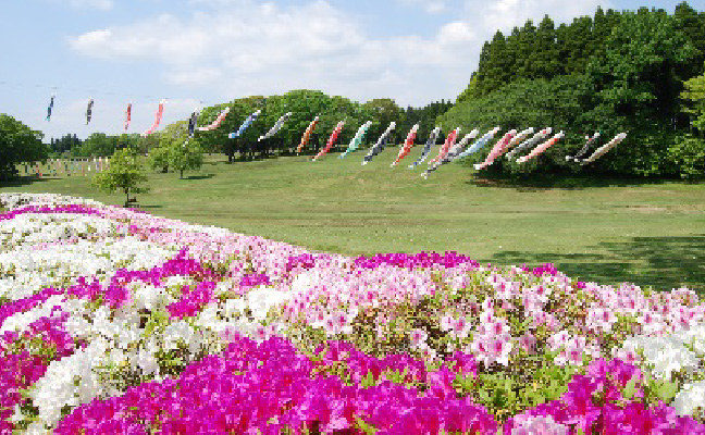 千葉市イメージ4