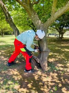 公園緑地事務所（樹木伐採）