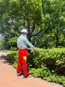 公園緑地事務所（低木刈込）