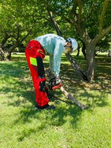 公園緑地事務所（樹木細断）