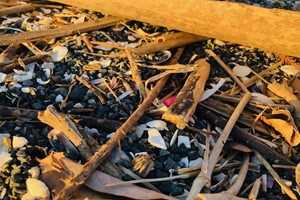 マイクロプラスチック