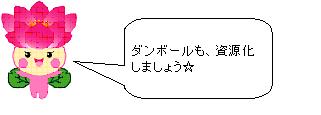段ボールの搬入に苛立つちはなちゃん