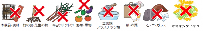 排出できないもの（オオキンケイギク追加）