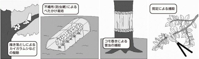 物理的防除の例