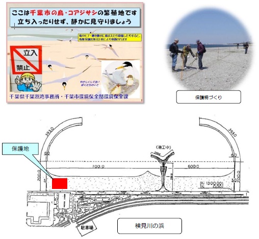 保護柵設置の様子