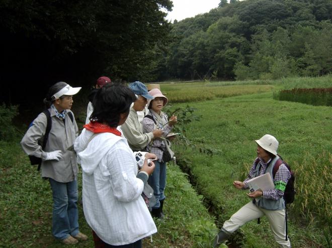 自然観察会の様子