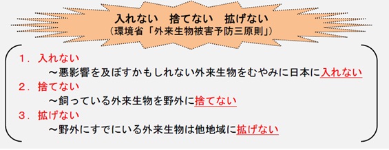 三原則