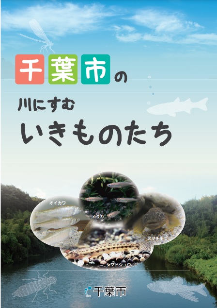 千葉市の川にすむいきものたち表紙