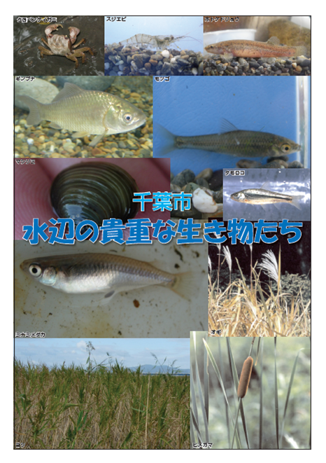 いきもの図鑑