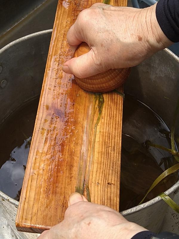からむし10
